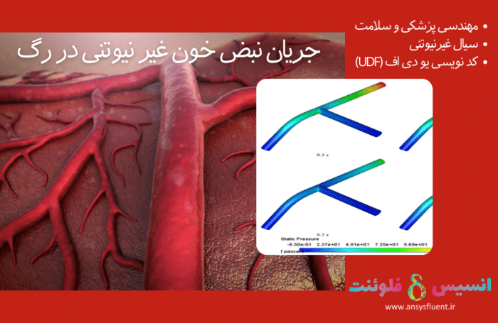 جریان نبض خون غیر نیوتنی در رگ