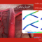 جریان نبض خون غیر نیوتنی در رگ