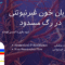 رگ مسدود