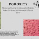 Porosity