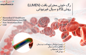 رگ خونی مجرای بافت (lumen)، شبیه سازی با انسیس فلوئنت