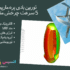 توربین بادی محور عمودی