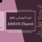 دوره آموزشی انسیس فلوئنت
